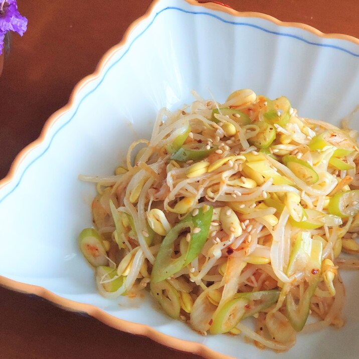 簡単おつまみᕷ*豆もやしとねぎのピリ辛ナムルꕤ୭*